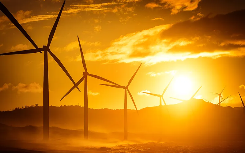 Renewable-energy-led site selection