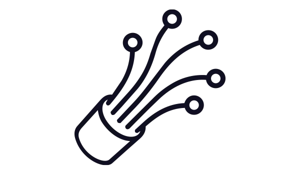 fibre networks